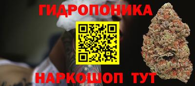 хмурый Кимры